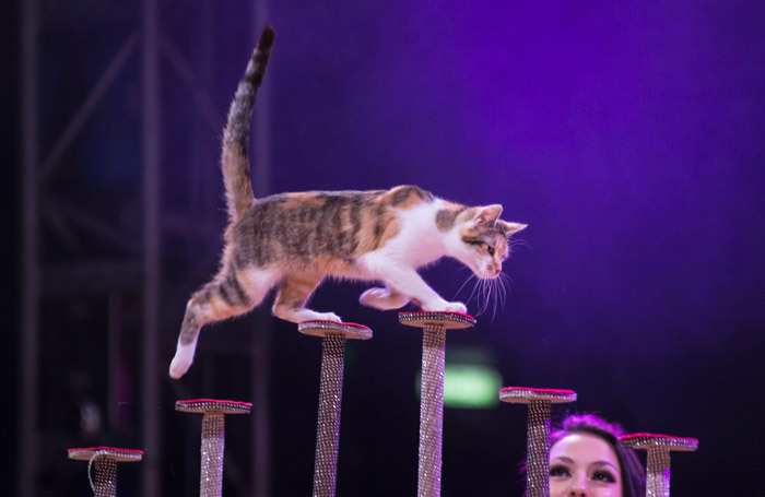 Nora and acrocat in Zippos Circus - Celebration in Blackheath, London. Photo: Piet-Hein Out