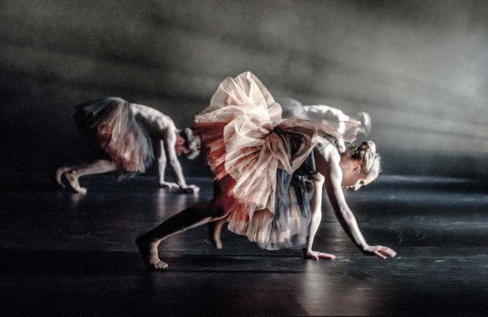 Scottish Dance Theatre's TutuMucky at the Place, London. Photo: Brian Hartley.
