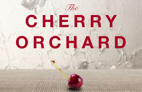 Bristol Old Vic to adapt The Cherry Orchard and Touching the Void in 2018