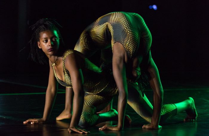 Circus Abyssinia's Ethiopian Dreams. Photo: Andrey Petrov