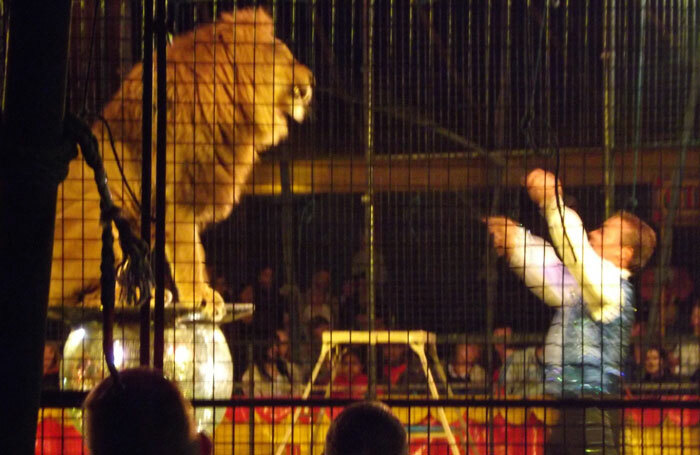 Britain's last remaining lion tamer Thomas Chipperfield performing in 2015