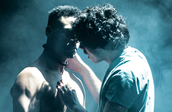 Ira Mandela Siobhan and Ethan Kai in Equus. Photo: The Other Richard