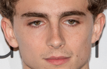 Timothée Chalamet to star in 4000 Miles at the Old Vic