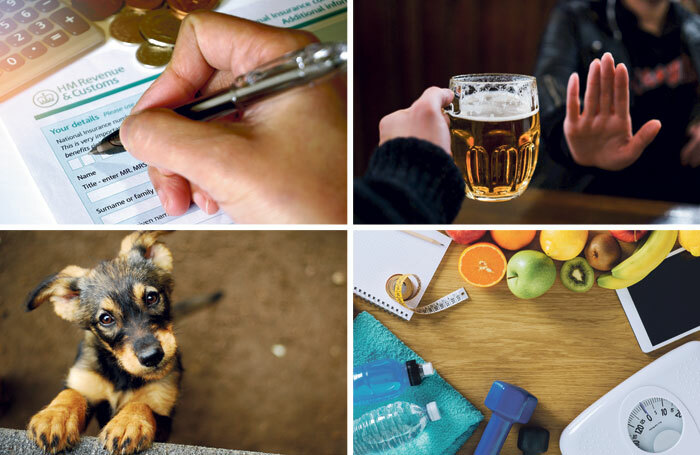 The panel’s new year’s resolutions include filing their tax return early, drinking less, losing weight and getting a dog. Photos: Shutterstock