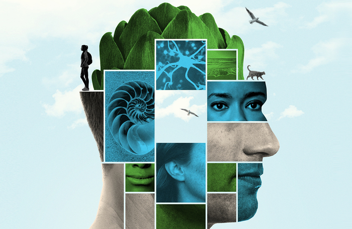 Promotional image for Donnys Brain