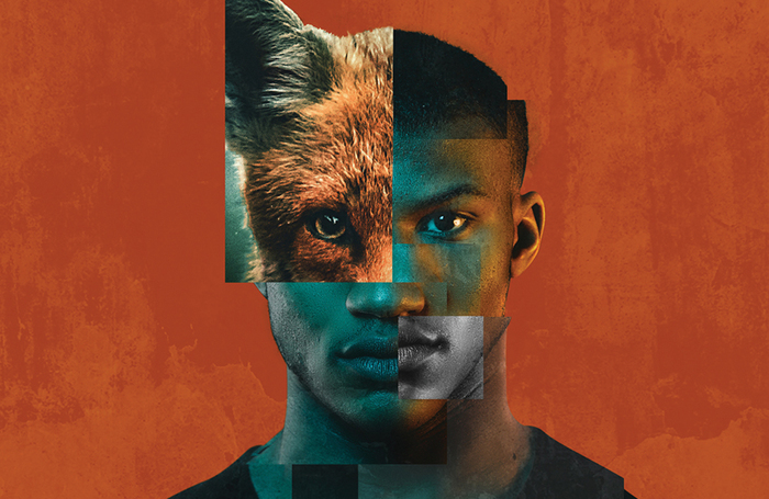 Promotional image for Foxes