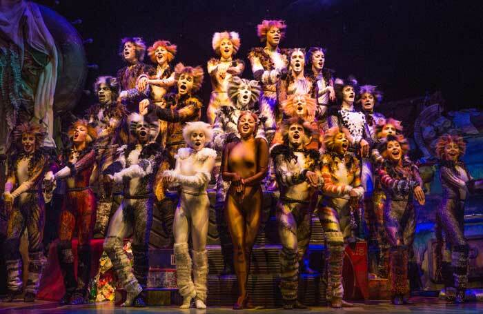 The company of Cats on Broadway. Photo: Matthew Murphy