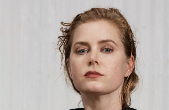 Amy Adams will star in The Glass Menagerie.