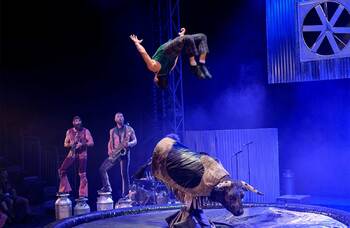 Cirque Alfonse: Animal review