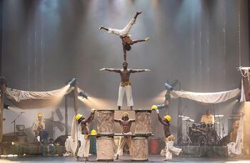 Afrique en Cirque review