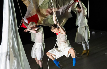 Sydney Dance Company: Ascent review